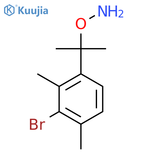 O-2-(3-bromo-2,4-dimethylphenyl)propan-2-ylhydroxylamine structure