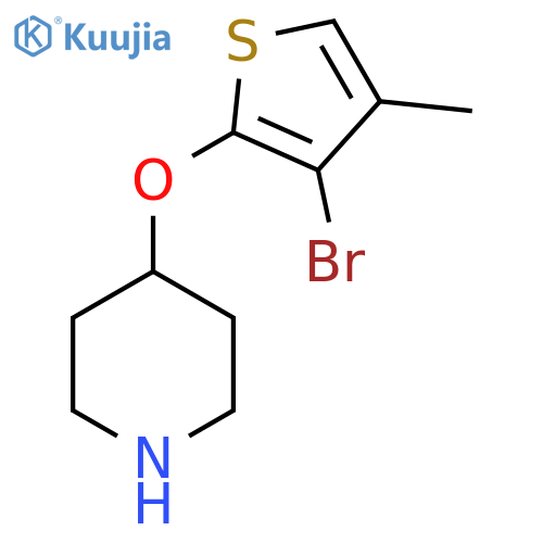 4-(3-bromo-4-methylthiophen-2-yl)oxypiperidine structure