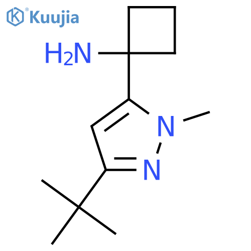 1-(3-tert-butyl-1-methyl-1H-pyrazol-5-yl)cyclobutan-1-amine structure