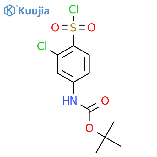 tert-butyl N-3-chloro-4-(chlorosulfonyl)phenylcarbamate structure