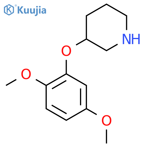 3-(2,5-dimethoxyphenoxy)piperidine structure