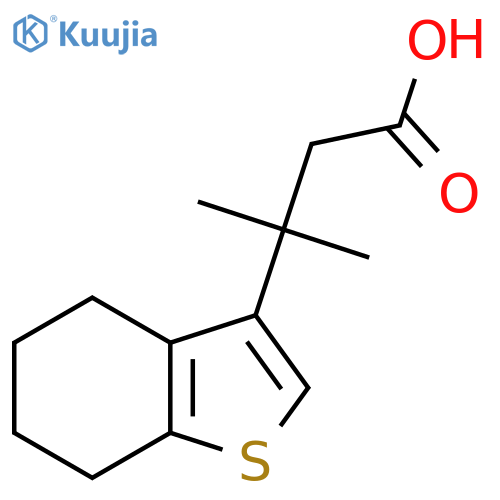 3-methyl-3-(4,5,6,7-tetrahydro-1-benzothiophen-3-yl)butanoic acid structure