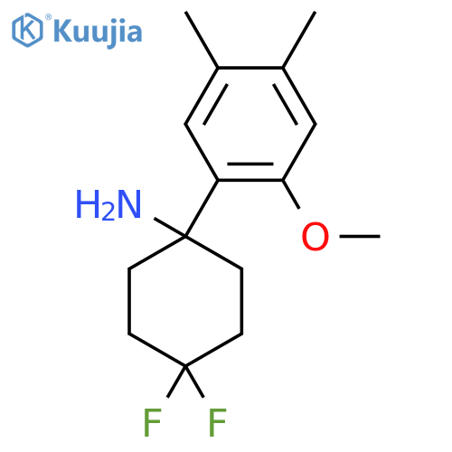 4,4-difluoro-1-(2-methoxy-4,5-dimethylphenyl)cyclohexan-1-amine structure