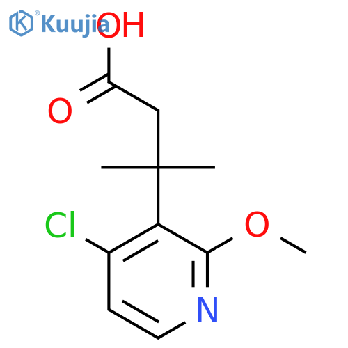 3-(4-chloro-2-methoxypyridin-3-yl)-3-methylbutanoic acid structure