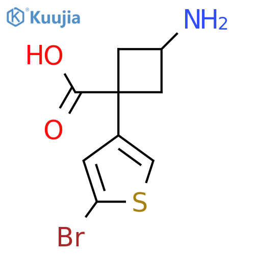 3-amino-1-(5-bromothiophen-3-yl)cyclobutane-1-carboxylic acid structure