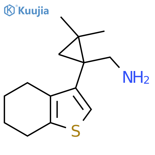 2,2-dimethyl-1-(4,5,6,7-tetrahydro-1-benzothiophen-3-yl)cyclopropylmethanamine structure