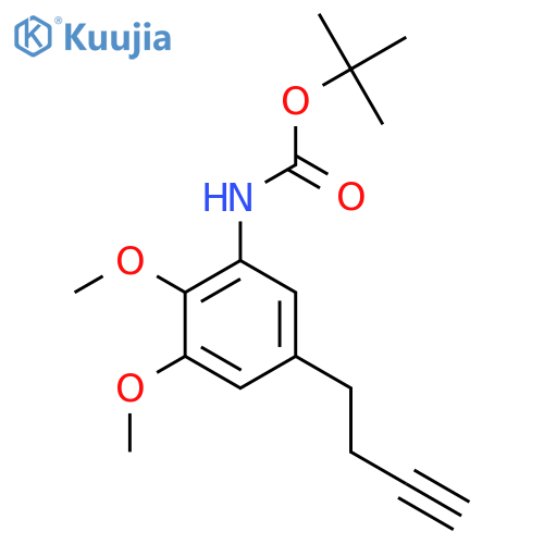 tert-butyl N-5-(but-3-yn-1-yl)-2,3-dimethoxyphenylcarbamate structure