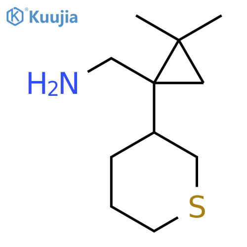 2,2-dimethyl-1-(thian-3-yl)cyclopropylmethanamine structure