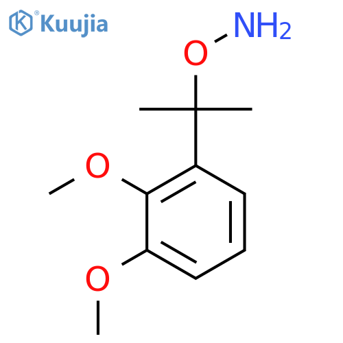 O-2-(2,3-dimethoxyphenyl)propan-2-ylhydroxylamine structure