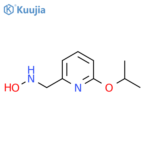 N-{6-(propan-2-yloxy)pyridin-2-ylmethyl}hydroxylamine structure