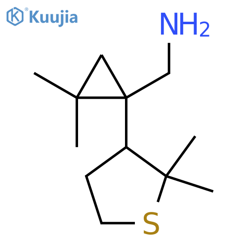 1-(2,2-dimethylthiolan-3-yl)-2,2-dimethylcyclopropylmethanamine structure