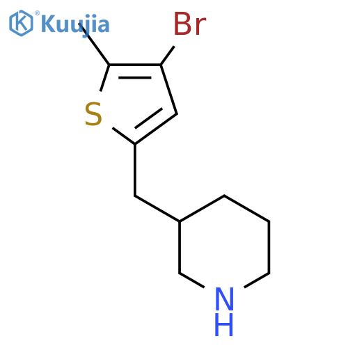 3-(4-bromo-5-methylthiophen-2-yl)methylpiperidine structure