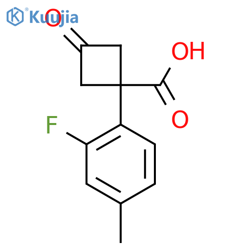 1-(2-fluoro-4-methylphenyl)-3-oxocyclobutane-1-carboxylic acid structure