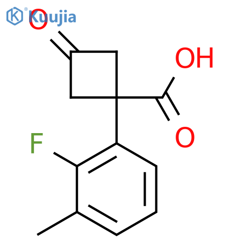 1-(2-fluoro-3-methylphenyl)-3-oxocyclobutane-1-carboxylic acid structure