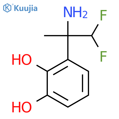 3-(2-amino-1,1-difluoropropan-2-yl)benzene-1,2-diol structure