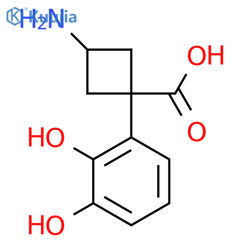 3-amino-1-(2,3-dihydroxyphenyl)cyclobutane-1-carboxylic acid structure
