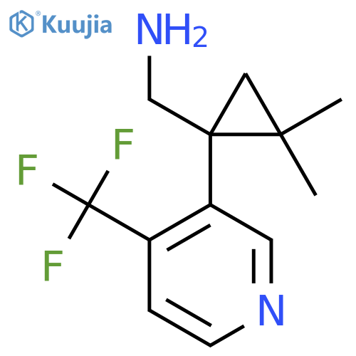 {2,2-dimethyl-1-4-(trifluoromethyl)pyridin-3-ylcyclopropyl}methanamine structure