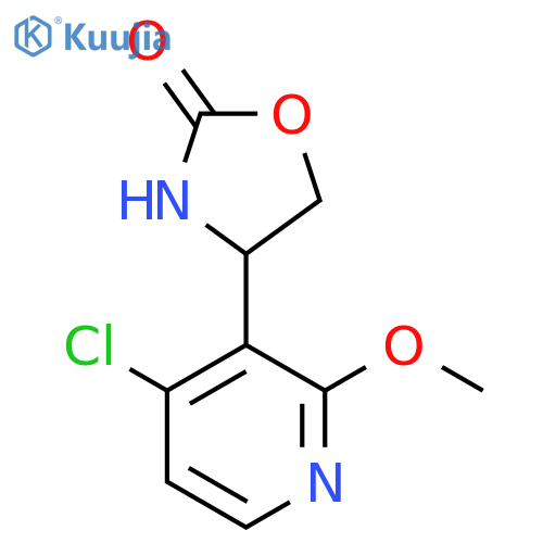4-(4-chloro-2-methoxypyridin-3-yl)-1,3-oxazolidin-2-one structure