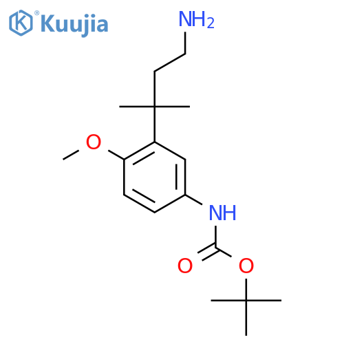 tert-butyl N-3-(4-amino-2-methylbutan-2-yl)-4-methoxyphenylcarbamate structure