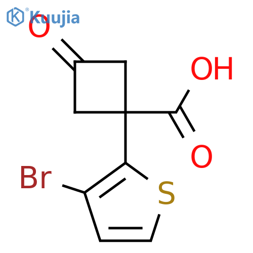 1-(3-Bromothiophen-2-yl)-3-oxocyclobutane-1-carboxylic acid structure