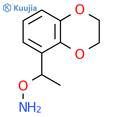 O-1-(2,3-dihydro-1,4-benzodioxin-5-yl)ethylhydroxylamine structure