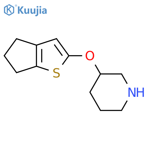 3-{4H,5H,6H-cyclopentabthiophen-2-yloxy}piperidine structure