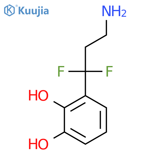 3-(3-amino-1,1-difluoropropyl)benzene-1,2-diol structure
