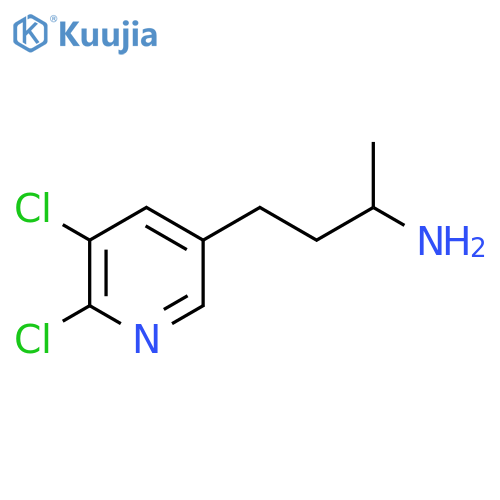 4-(5,6-dichloropyridin-3-yl)butan-2-amine structure