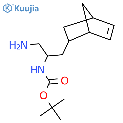 tert-butyl N-(1-amino-3-{bicyclo2.2.1hept-5-en-2-yl}propan-2-yl)carbamate structure