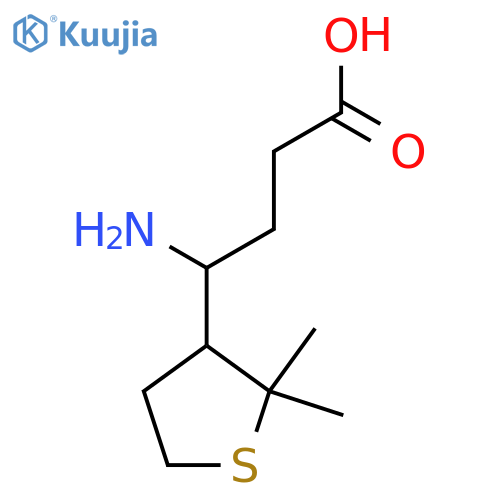 4-amino-4-(2,2-dimethylthiolan-3-yl)butanoic acid structure