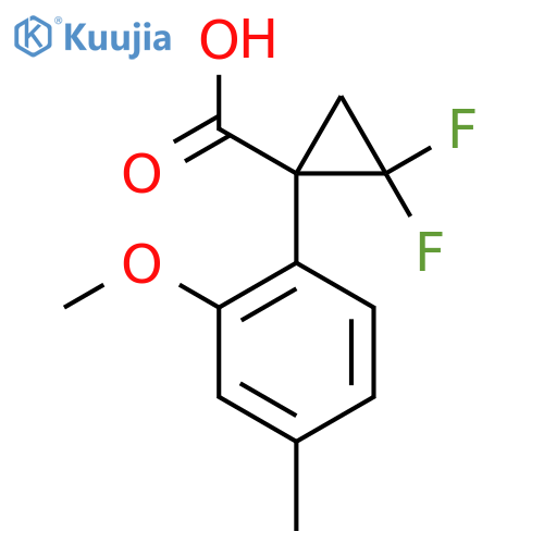 2,2-difluoro-1-(2-methoxy-4-methylphenyl)cyclopropane-1-carboxylic acid structure