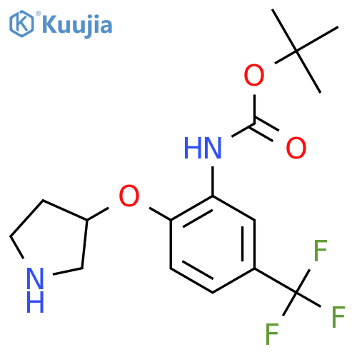 tert-butyl N-2-(pyrrolidin-3-yloxy)-5-(trifluoromethyl)phenylcarbamate structure
