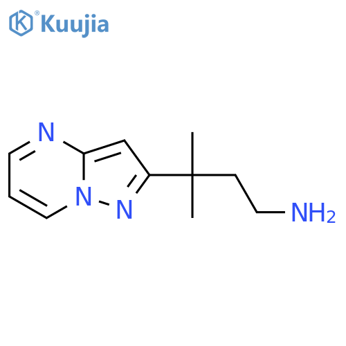 3-methyl-3-{pyrazolo1,5-apyrimidin-2-yl}butan-1-amine structure