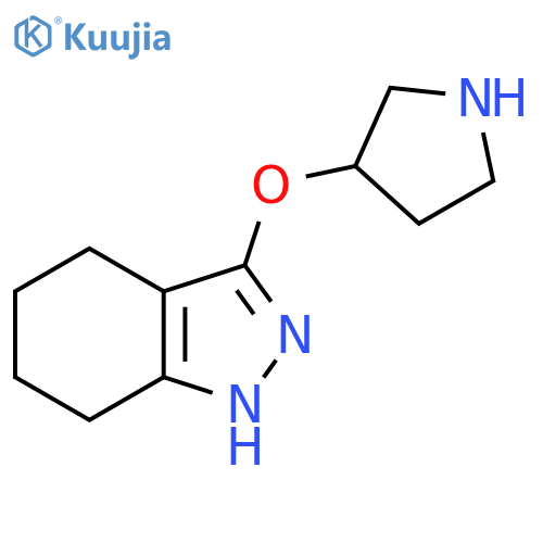 3-(pyrrolidin-3-yloxy)-4,5,6,7-tetrahydro-1H-indazole structure