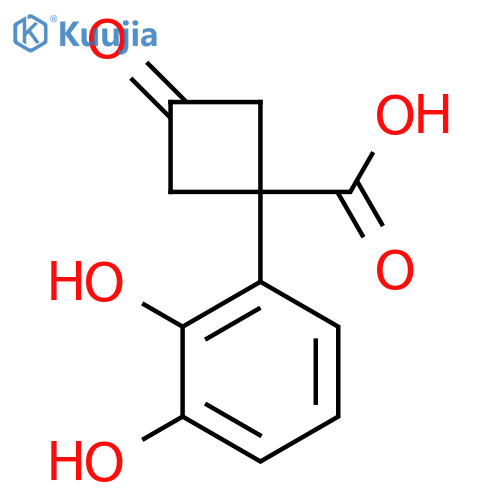 1-(2,3-dihydroxyphenyl)-3-oxocyclobutane-1-carboxylic acid structure