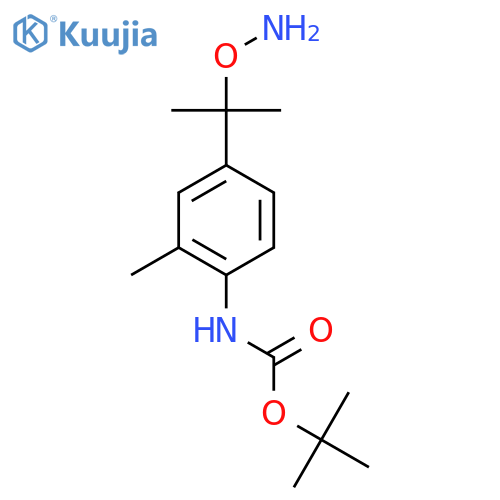 tert-butyl N-{4-2-(aminooxy)propan-2-yl-2-methylphenyl}carbamate structure
