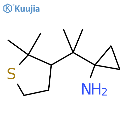 1-2-(2,2-dimethylthiolan-3-yl)propan-2-ylcyclopropan-1-amine structure