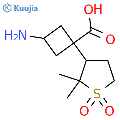 3-amino-1-(2,2-dimethyl-1,1-dioxo-1lambda6-thiolan-3-yl)cyclobutane-1-carboxylic acid structure