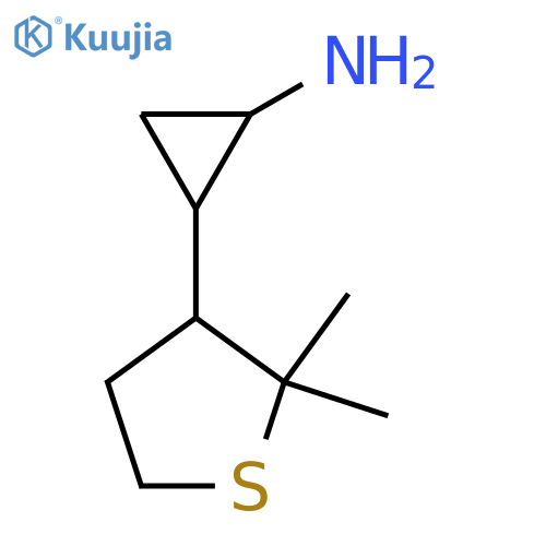 2-(2,2-dimethylthiolan-3-yl)cyclopropan-1-amine structure