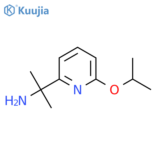 2-6-(propan-2-yloxy)pyridin-2-ylpropan-2-amine structure