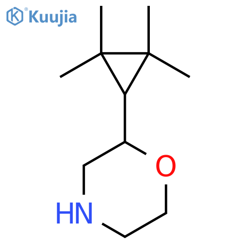 2-(2,2,3,3-tetramethylcyclopropyl)morpholine structure