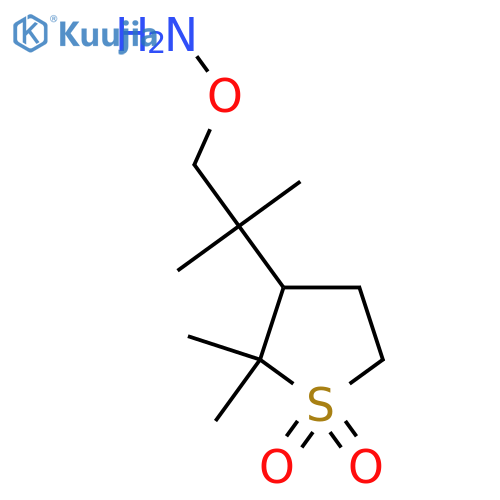 3-1-(aminooxy)-2-methylpropan-2-yl-2,2-dimethyl-1lambda6-thiolane-1,1-dione structure