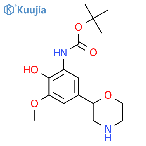 tert-butyl N-2-hydroxy-3-methoxy-5-(morpholin-2-yl)phenylcarbamate structure