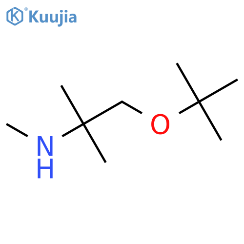 1-(tert-butoxy)-2-methylpropan-2-yl(methyl)amine structure