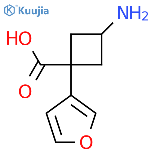 3-amino-1-(furan-3-yl)cyclobutane-1-carboxylic acid structure