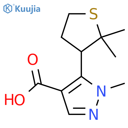 5-(2,2-dimethylthiolan-3-yl)-1-methyl-1H-pyrazole-4-carboxylic acid structure