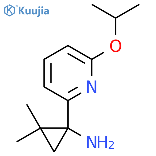 2,2-dimethyl-1-6-(propan-2-yloxy)pyridin-2-ylcyclopropan-1-amine structure