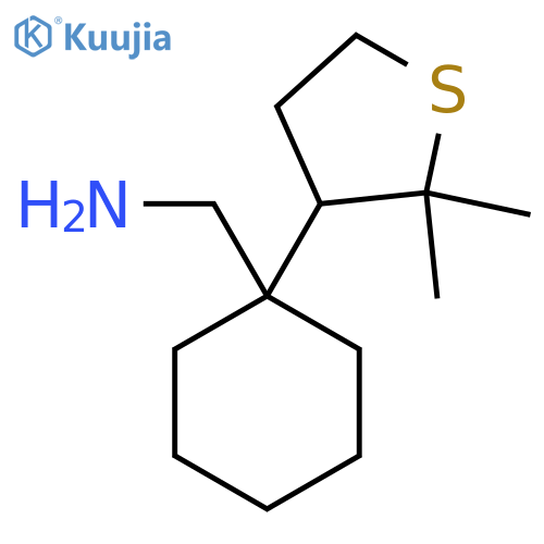 1-(2,2-dimethylthiolan-3-yl)cyclohexylmethanamine structure