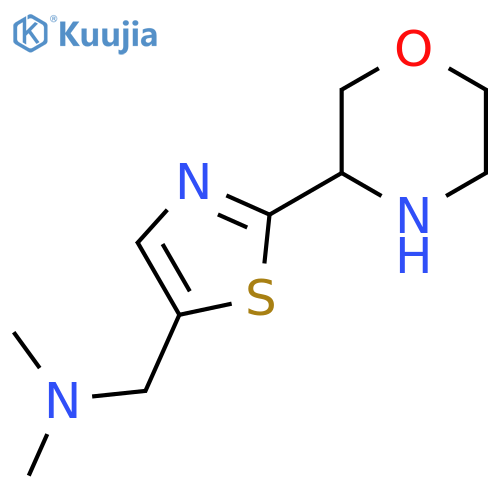 dimethyl({2-(morpholin-3-yl)-1,3-thiazol-5-ylmethyl})amine structure