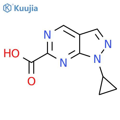 1-cyclopropylpyrazolo[3,4-d]pyrimidine-6-carboxylic acid structure